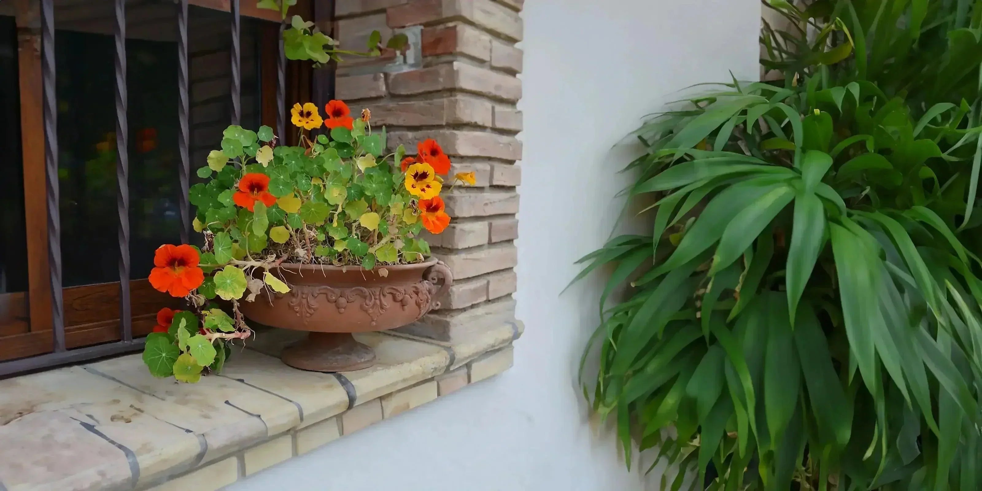 Vaso decorativo con fiori colorati, ceramiche Caltagirone fatti a mano per arredo giardino