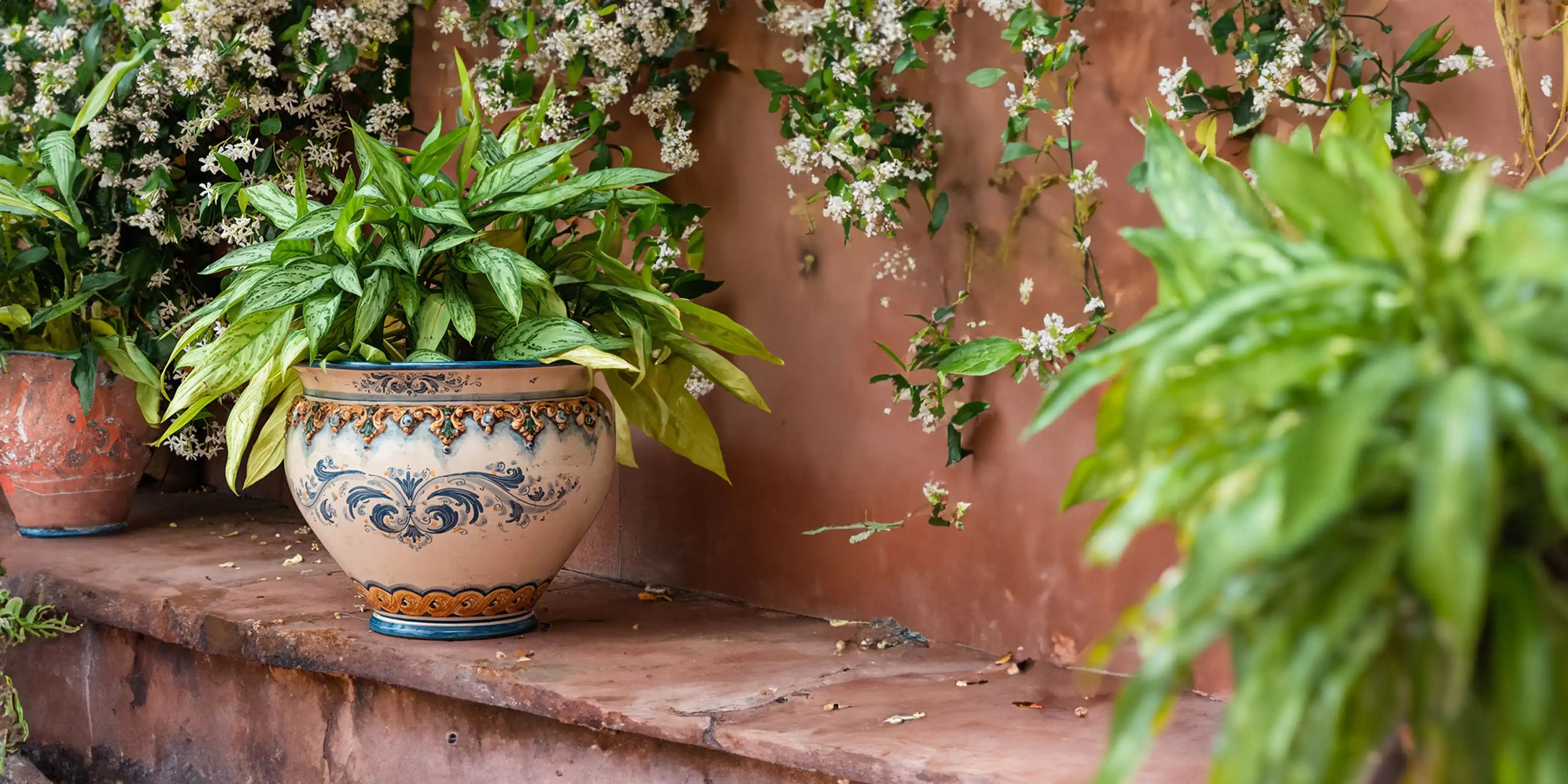 Cachepot ceramiche Caltagirone Sofia fatti a mano con pianta verde su sfondo fiorito